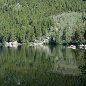 <strong>Brilliant Blindness</strong>