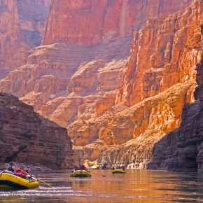 <strong>theSpace Rows into the&nbsp;Canyon</strong>