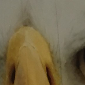 <strong>Focus</strong>