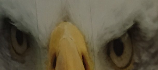Eagle Eyes