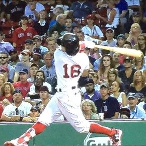 <strong>RED Maps</strong>