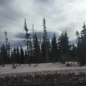 <strong>Fade to New Economy</strong>