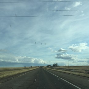 <strong>The Nascent World</strong>